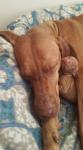 post-49286-0-30146600-1443443399_thumb.jpg