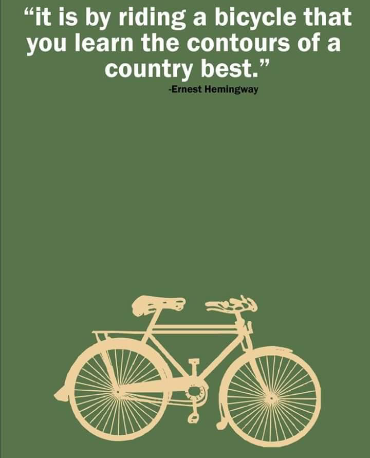 image.png.dd9cc3bc21d9f02be18a7f689c2c23aa.png