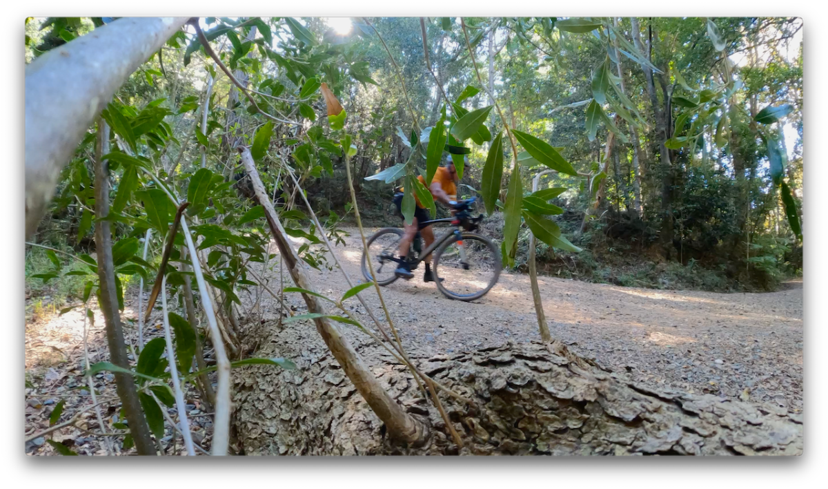 image.png.acb94cb0585e3389d45824f3146f0439.png
