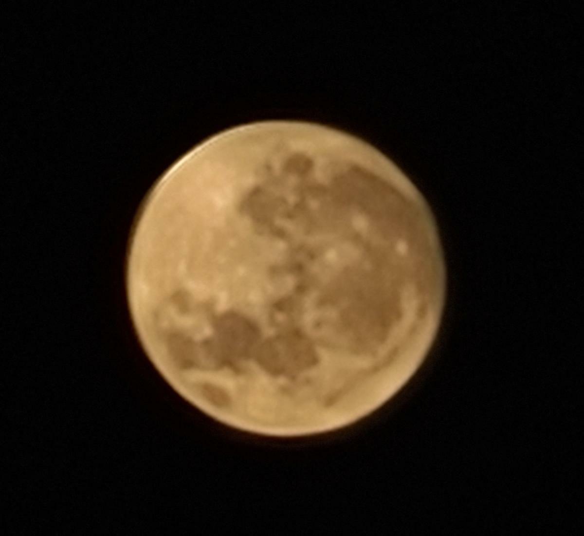 20230801_065449.jpg.a66defeb5bc164e1fa3044c8649e9875.jpg