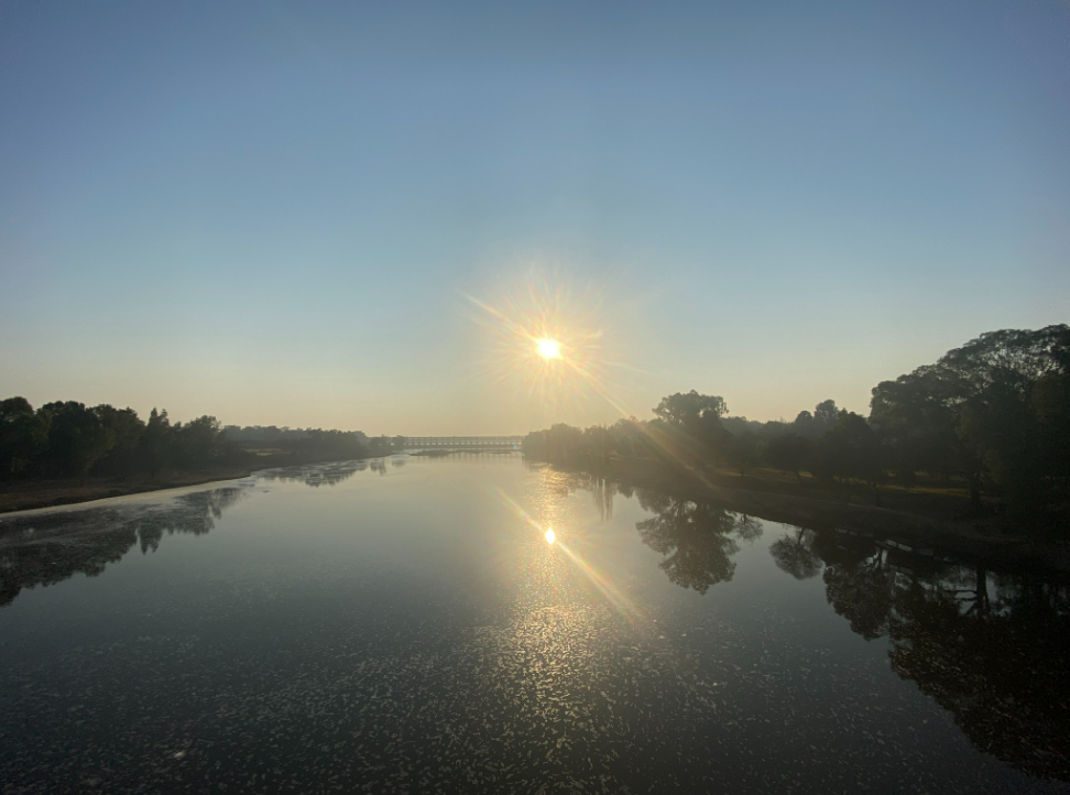 image.png.61f75992b861d181dca5f89b35004b72.png